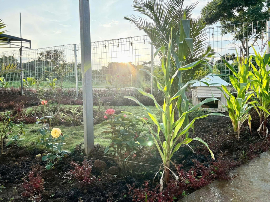 Sân vườn tại khu lưu trú ở Tà Đùng